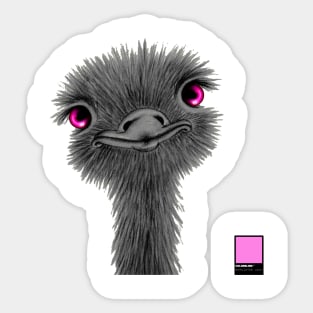 OSTRICH PINK - black card  by COLORBLIND WorldView Sticker